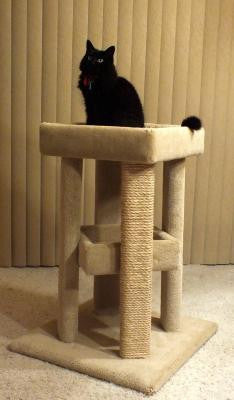 Photo of Four Corner Sleeper