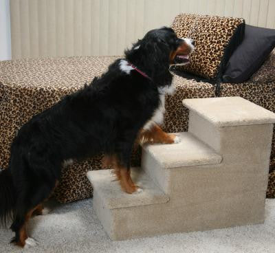 Photo of Big Triple Pet Step